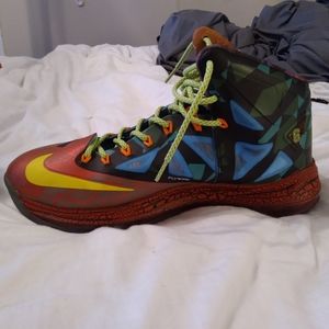 Nike Lebron James/Lebron X MVP Edition Collector